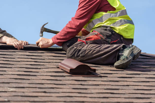 Roof Gutter Cleaning in Chevy Chase Heights, PA